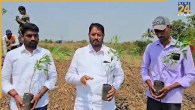 Maharashtra Peepal Tree Campaign