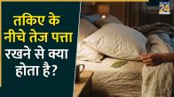 Bay Leaf Under Pillow