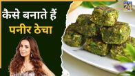 Paneer thecha