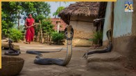 India Snake Village