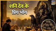 Shani Jayanti 2026