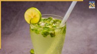 Summer Shikanji Recipe