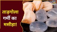 Ice Apple Eating Benefits