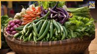 May Month Gardening Tips