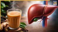 Chai for Liver Health