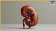 Kidney Diseases Symptoms