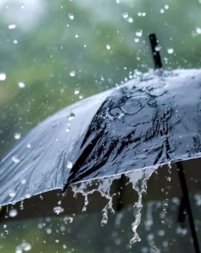 दक्षिण भारत में भारी बारिश की चेतावनी