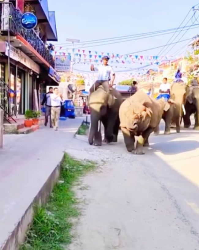 Rhino के नाम पर रखा गया होटल का नाम