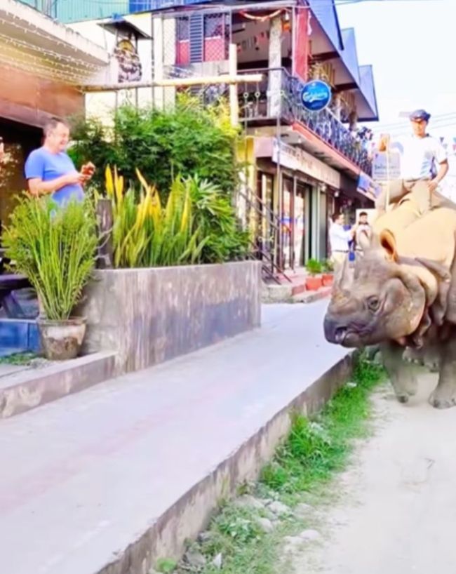 गैंडों की बढ़ती संख्या बनी वजह