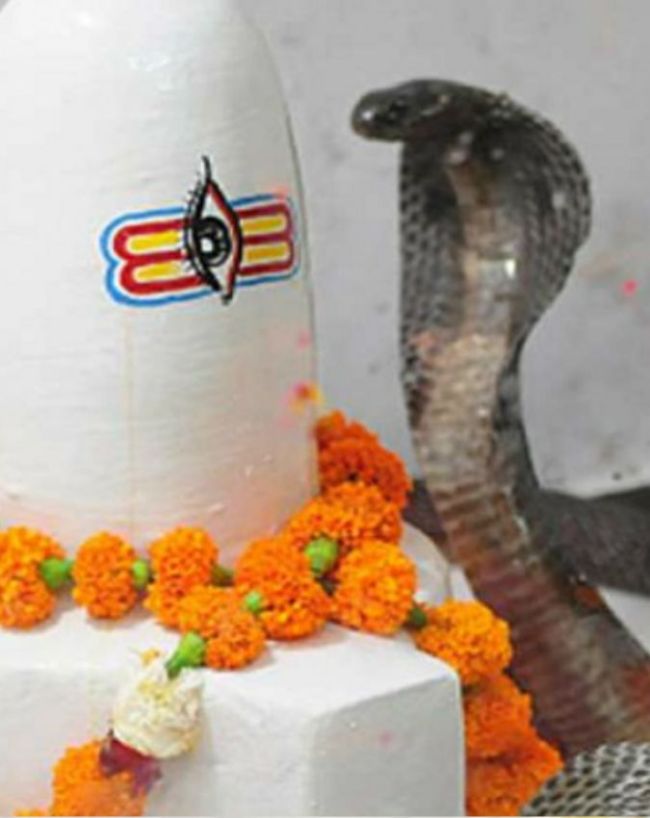 भगवान शिव और नाग देवता की पूजा करें