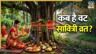 Vat Savitri Vrat Kab Hai