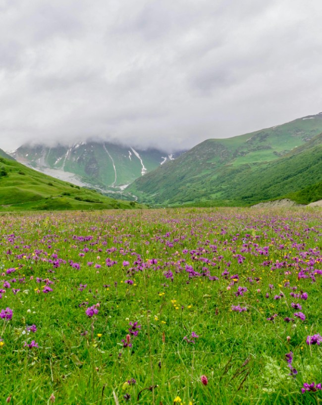 उत्तराखंड 
