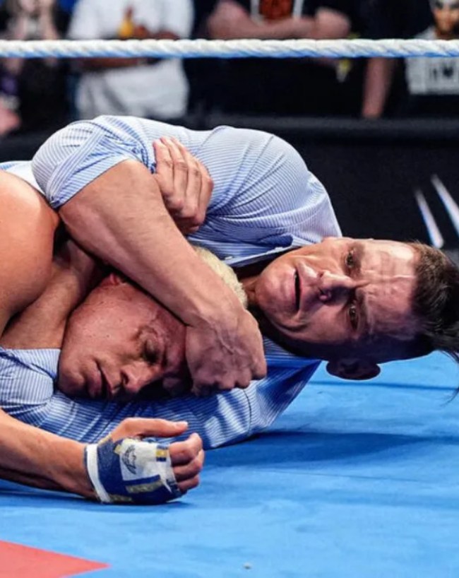 अनडिस्प्यूटेड WWE चैंपियनशिप मैच