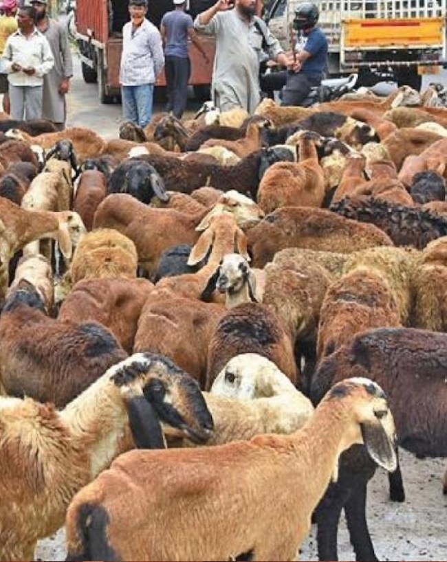 करीब 20 करोड़ से ज्यादा मुस्लिम आबादी
