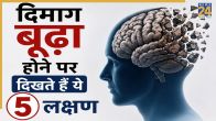 Brain Aging Signs