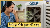 Cooler Smell Home Remedies