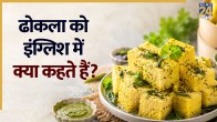 Dhokla in english