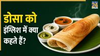 Dosa In English