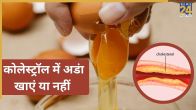 Eggs In Bad Cholesterol