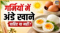 eating eggs in summer
