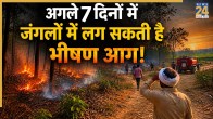 Haryana SDMA Forest fire alert