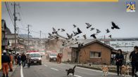 Japan Earthquake