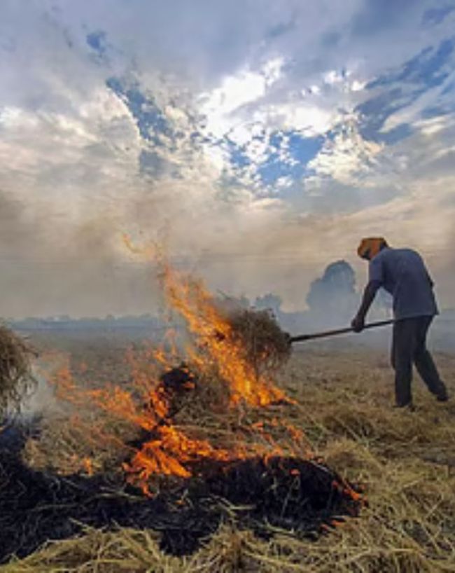 पराली जलाने पर होगी सख्त निगरानी