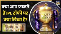 IPL Trophy