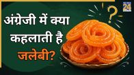 english word for Jalebi