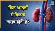 Kidney Damage