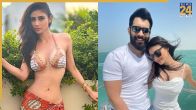 Mouni Roy Suraj Nambiar net worth