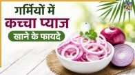 Pyaj Khane Ke Fayde