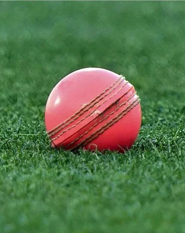 टेस्ट मैच में बदलेगा गेंद का रंग?
