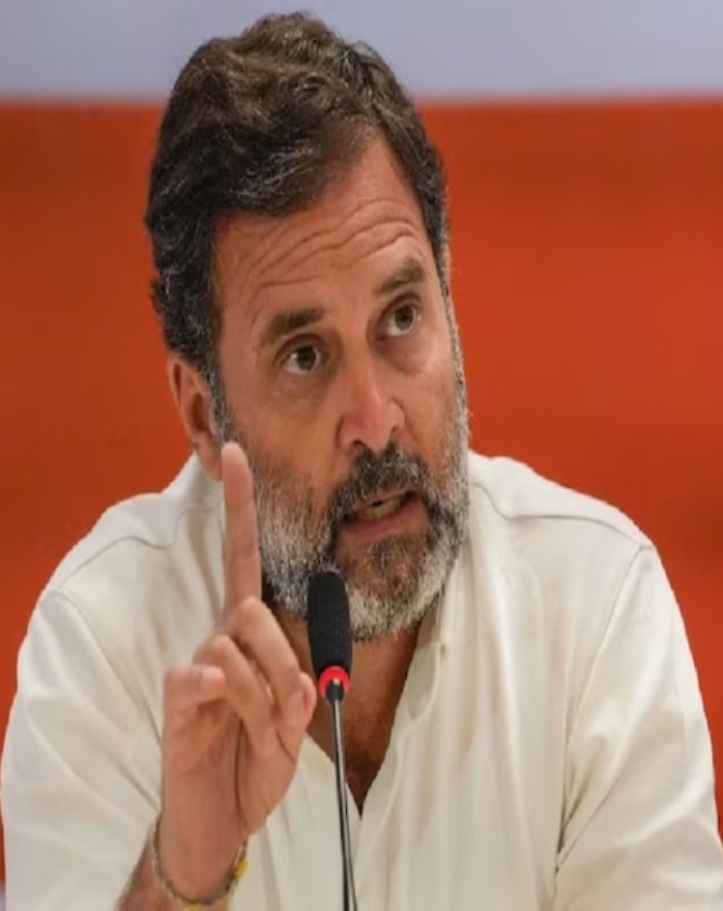 25 कंपनियों में 4.33 करोड़ का निवेश