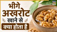 Walnuts Benefits