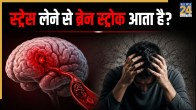 stress brain stroke