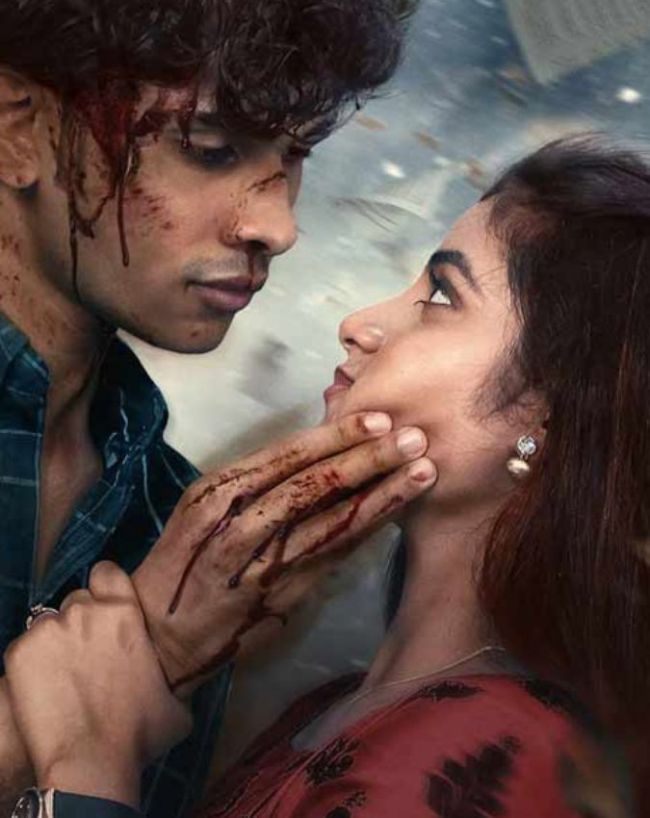 सीरीज के लीड एक्टर्स
