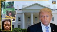 Donald Trump Security Breach