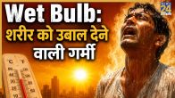 What Is Wet Bulb