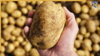 Why Are Potatoes Bad For Your Stomach