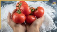 prevent food wastage