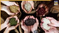 Magaz Ke Beej health benefits hindi
