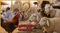 kya chicken ki qurbani di ja sakti hai