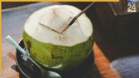 How to increase shelf life of coconut water