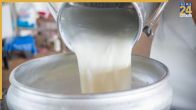 Kachcha Doodh Peene Ke Nuksaan