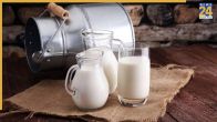 Milk