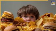 Effects Of Junk Foods