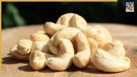 Cashew Dangerous In Diseases