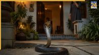 Snake Direction Vastu