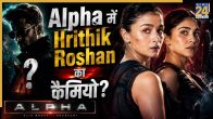 Alpha Trailer X Review